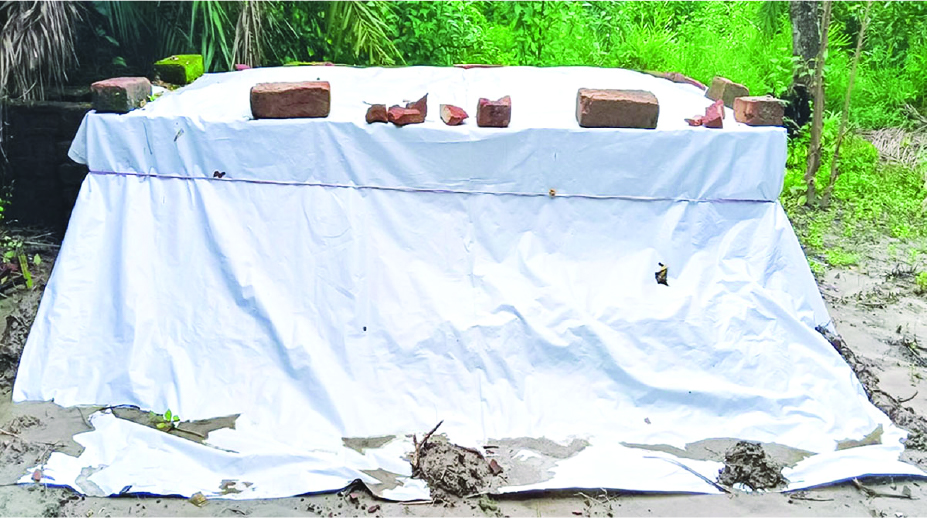 Image of মো: আবুল বাশার আদম 